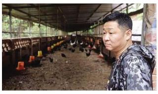 三德子赵亮成养鸡大户 三德子赵亮成养鸡大户